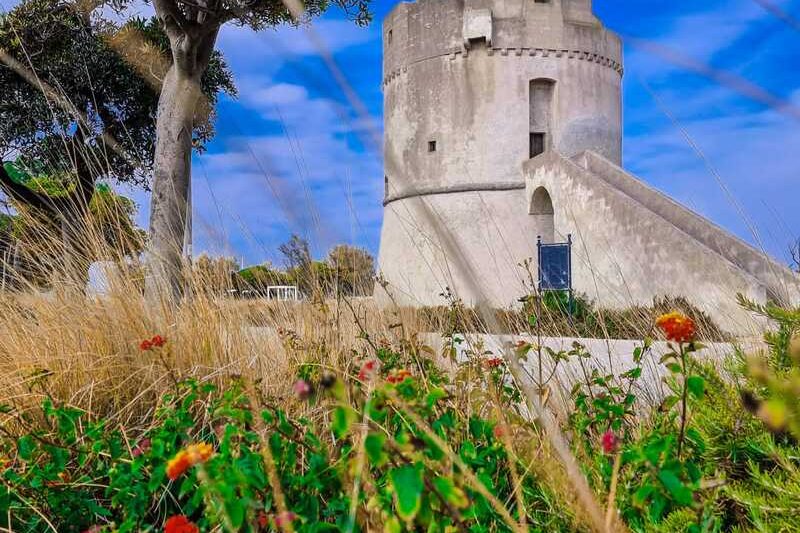 torre-suda (1)